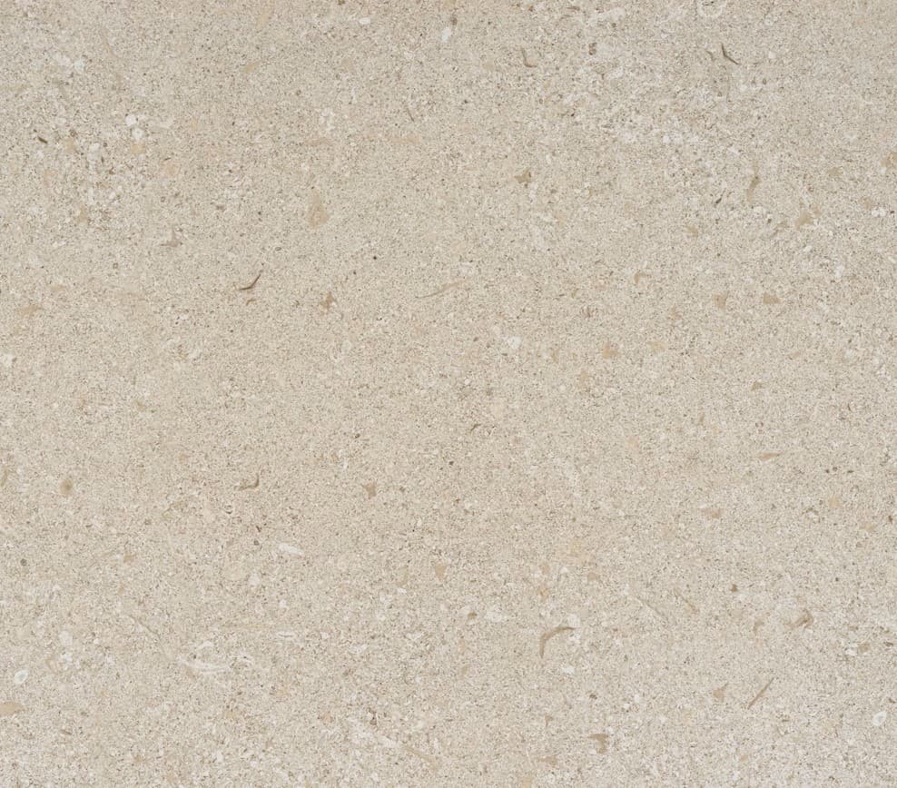 Echantillon d'image du coloris : Avorio