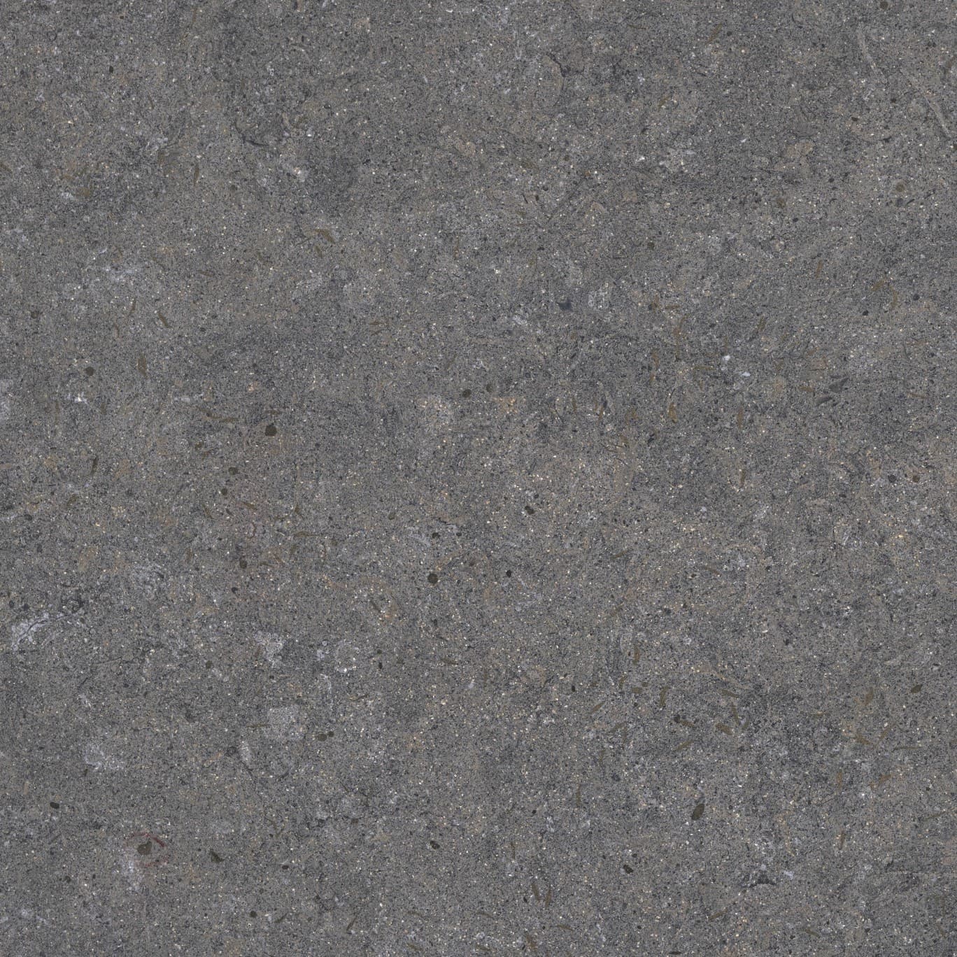 Echantillon d'image du coloris : Grafite