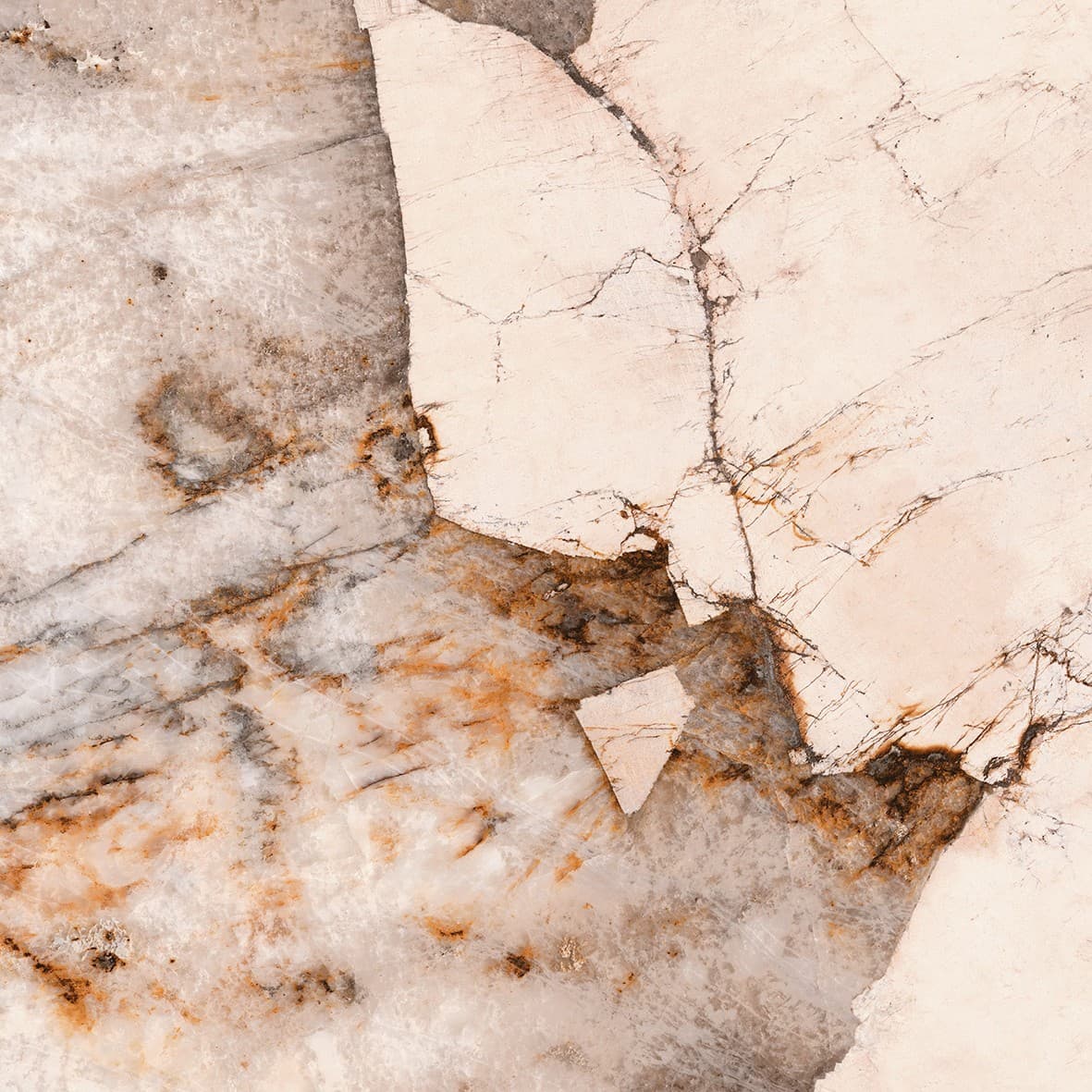 Echantillon d'image du coloris : Magellano