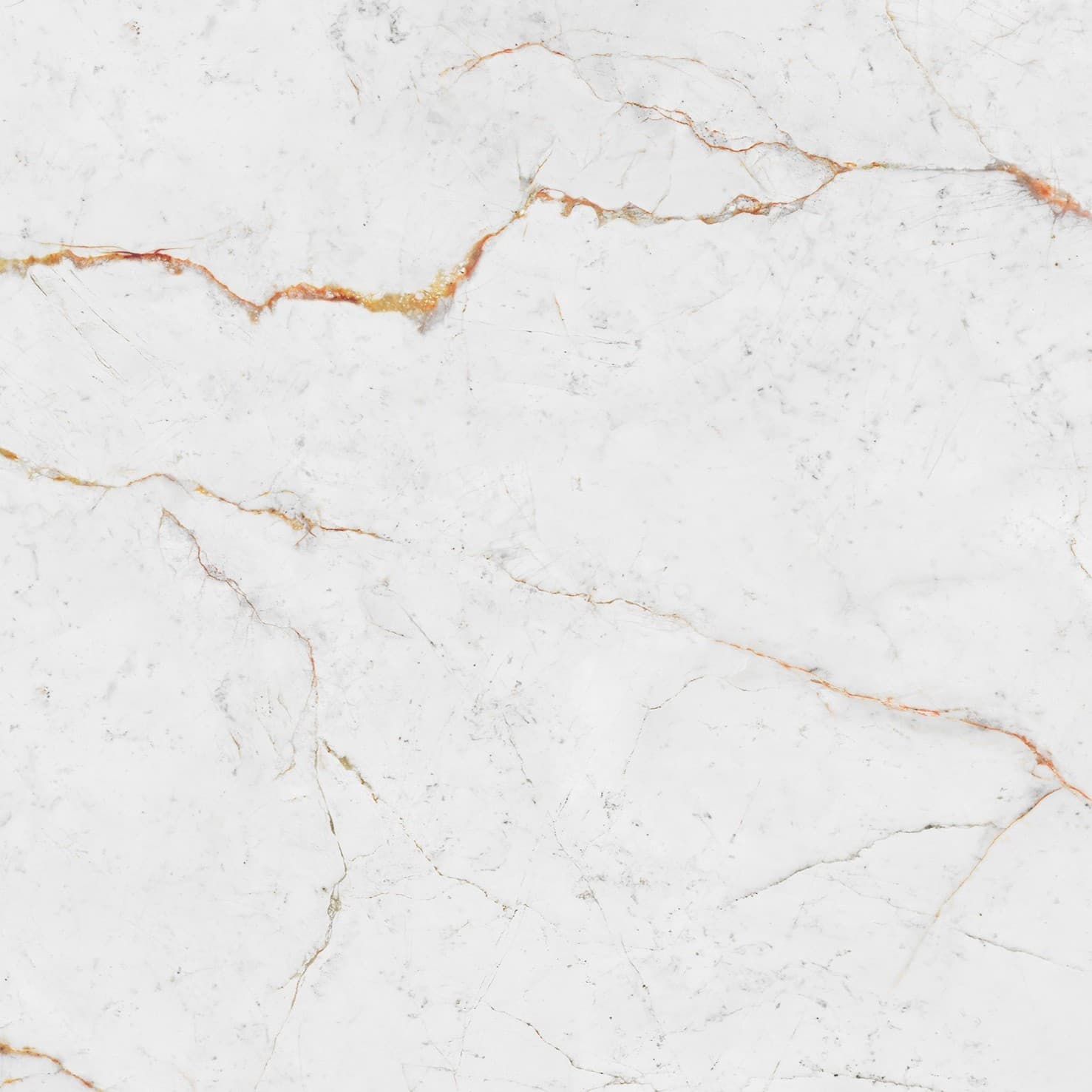 Echantillon d'image du coloris : Abu Dhabi White