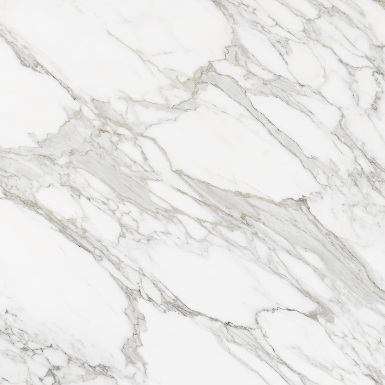 Echantillon d'image du coloris : Calacatta Royale