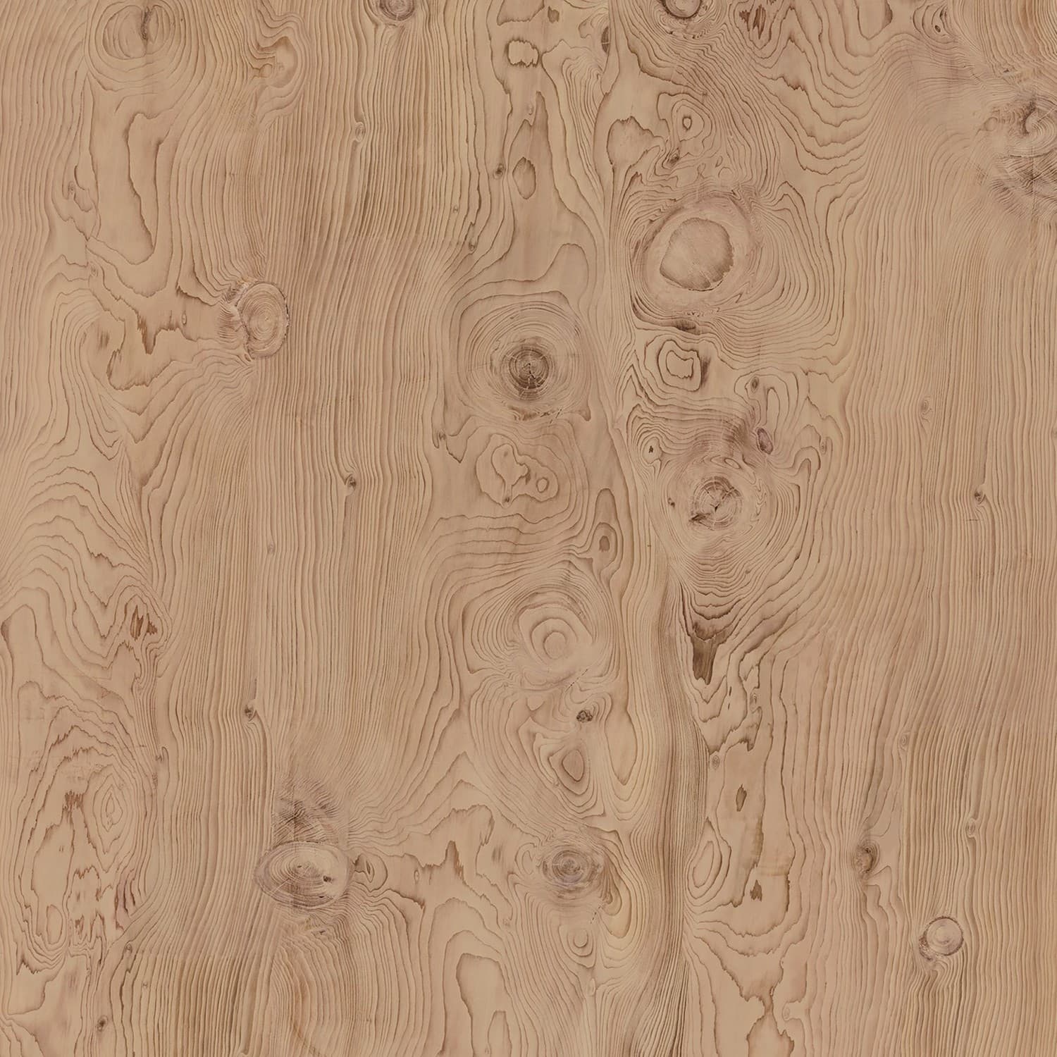 Echantillon d'image du coloris : La Boheme B01