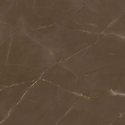 Echantillon d'image du coloris : Pulpis