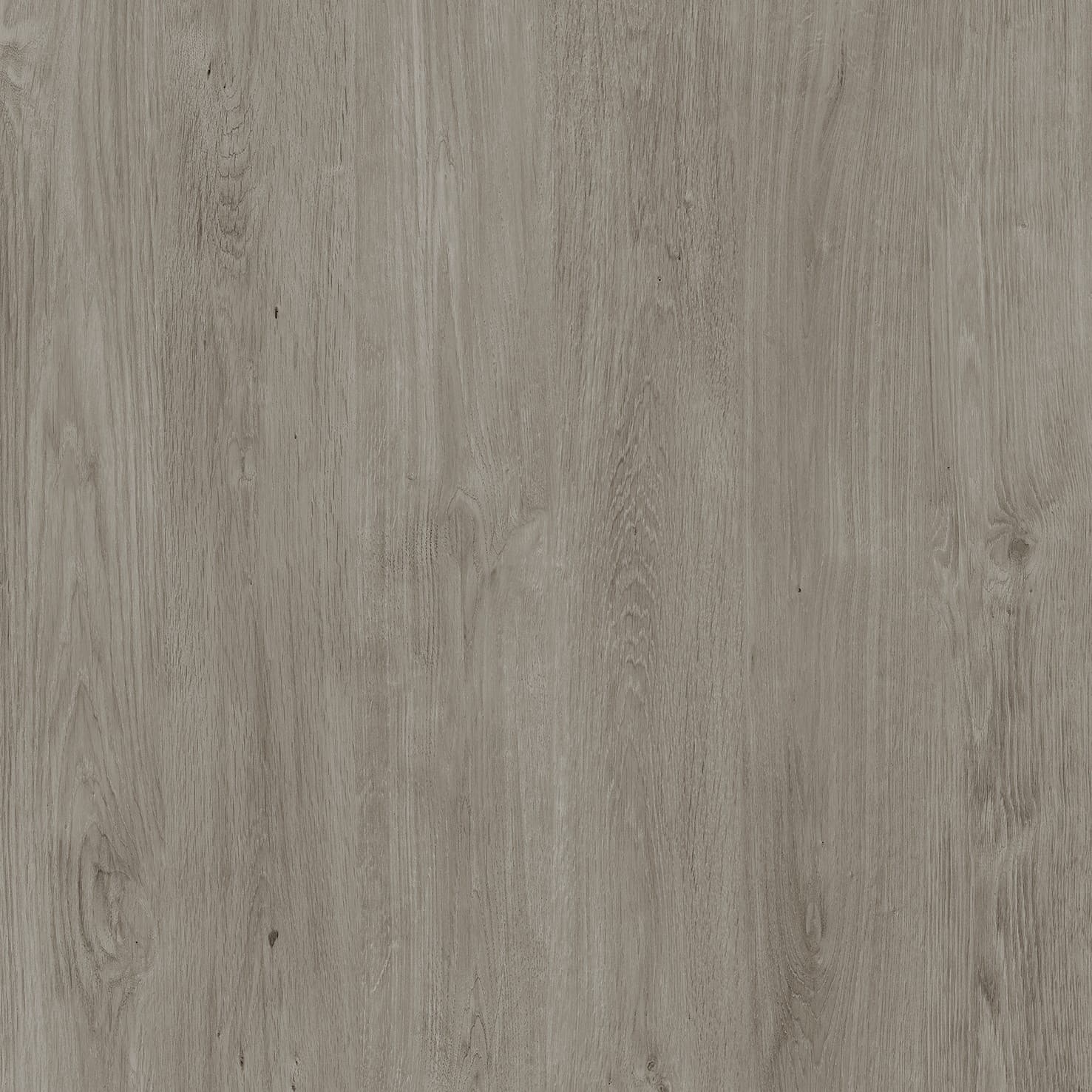 Echantillon d'image du coloris : Winter Dala