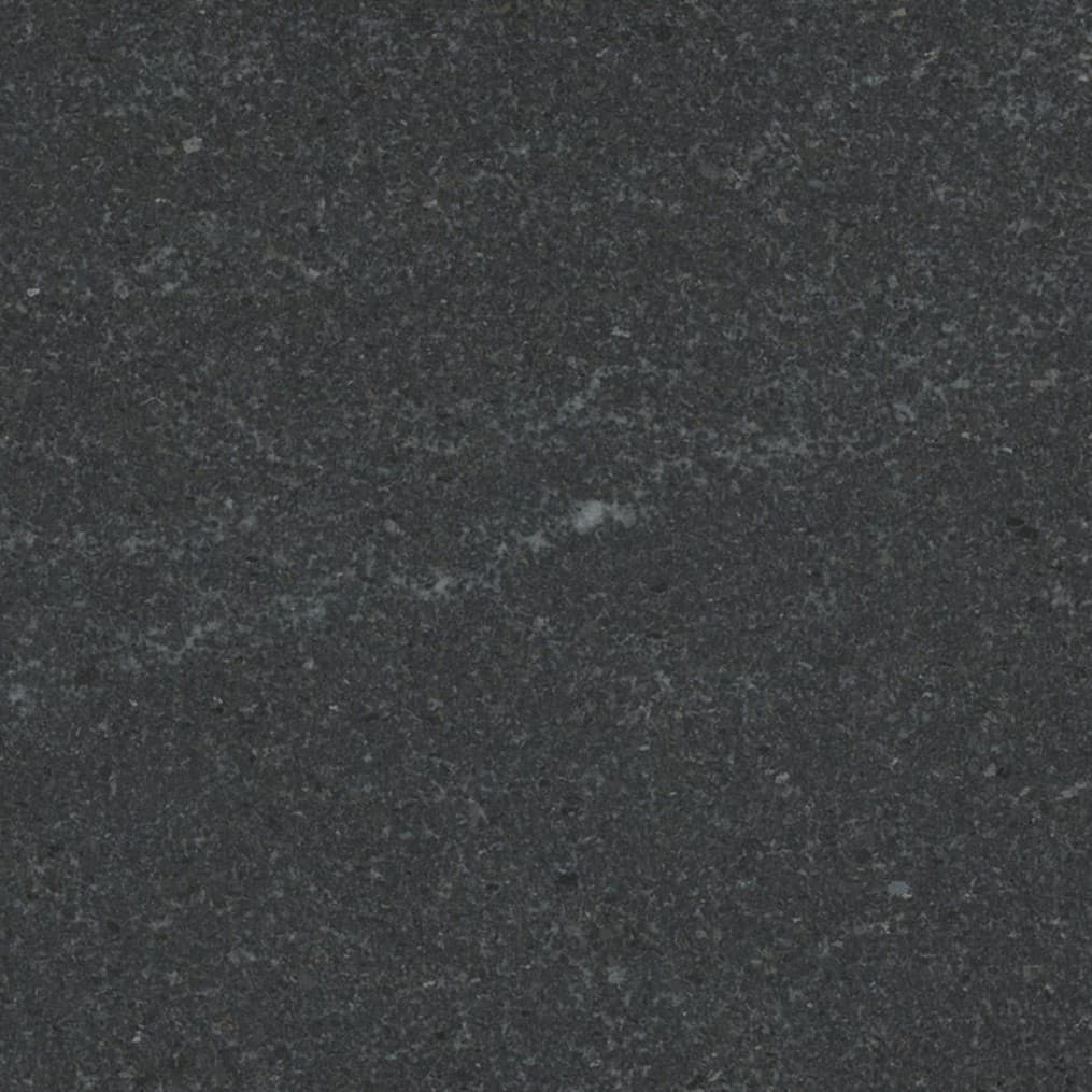 Echantillon d'image du coloris : American Black