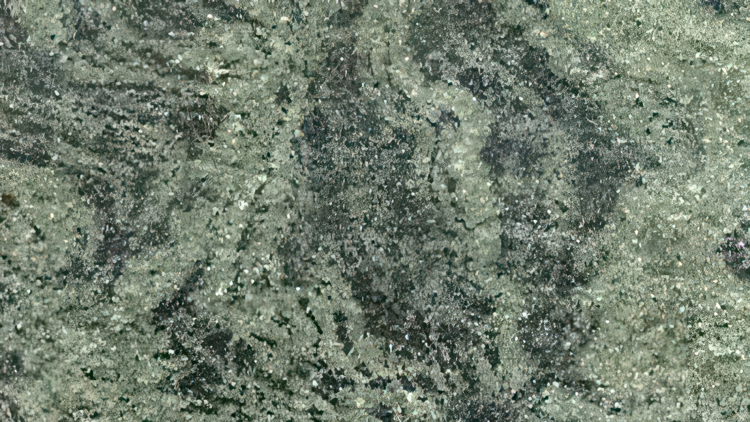 Plans de travail Vert San Francisco tranche - easy plan