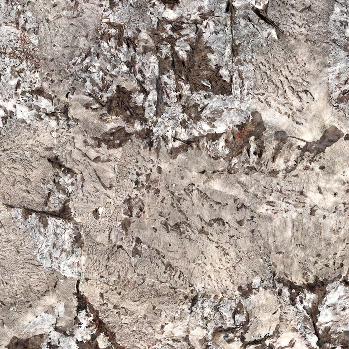 Echantillon d'image du coloris : Glacial Blue