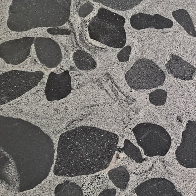 Echantillon d'image du coloris : Dalmata