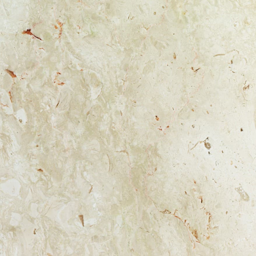 Echantillon d'image du coloris : Lioz Svevo