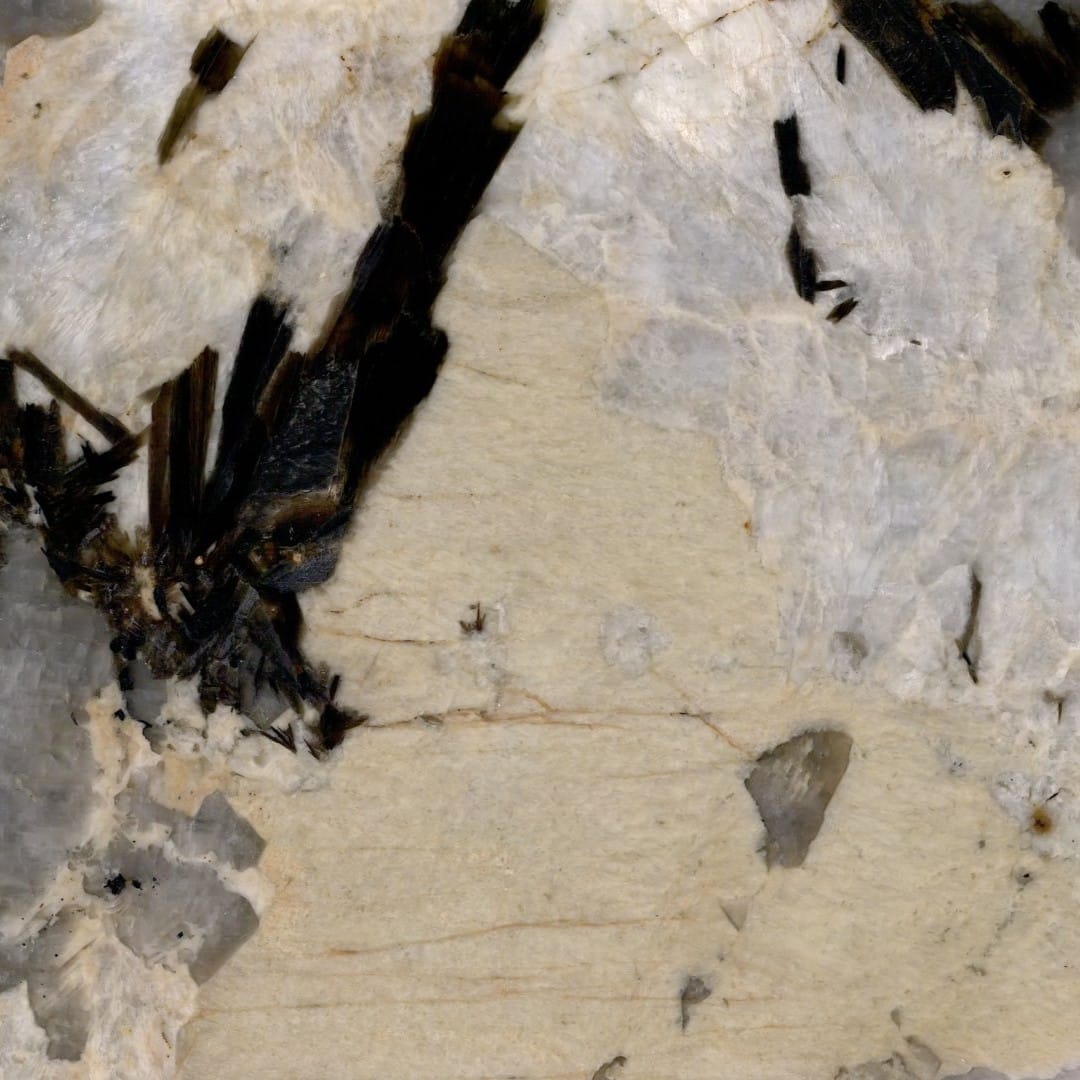 Image du carousel : patagonia