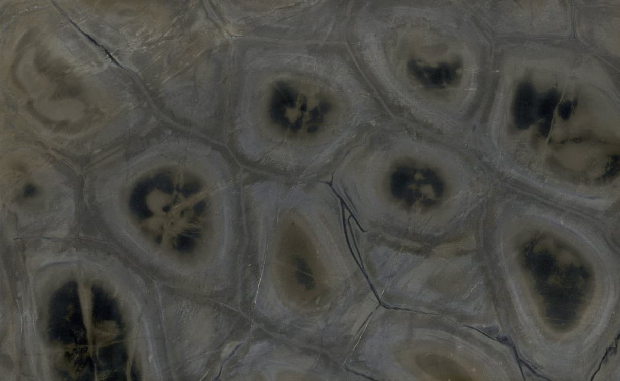 Plans de travail Turtle tranche - easy plan