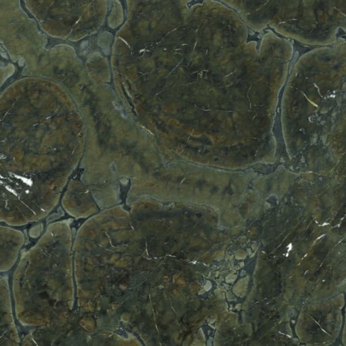 Echantillon d'image du coloris : Vitoria Regia