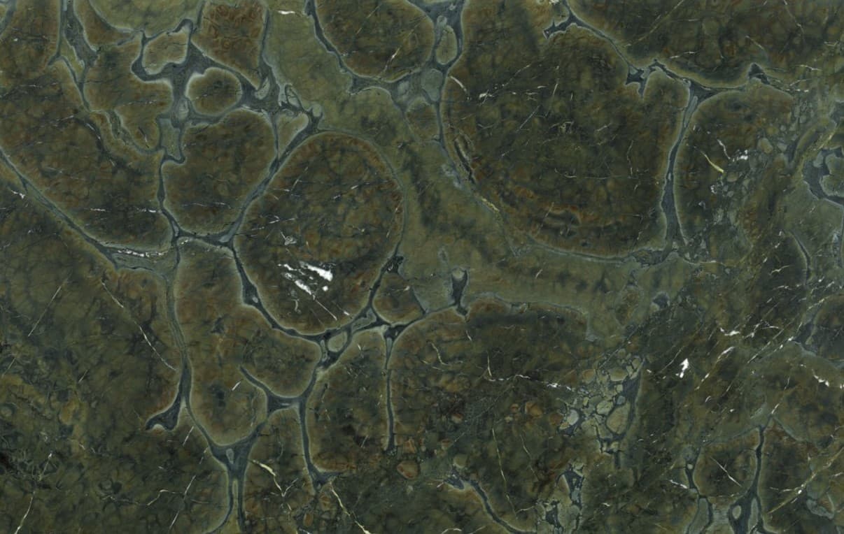 Plans de travail Vitoria Regia tranche - easy plan