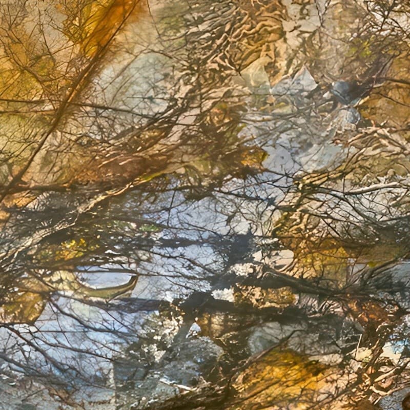 Echantillon d'image du coloris : Myellow