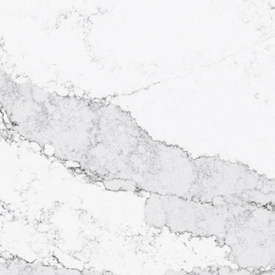 Echantillon d'image du coloris : Elegance Michelangelo