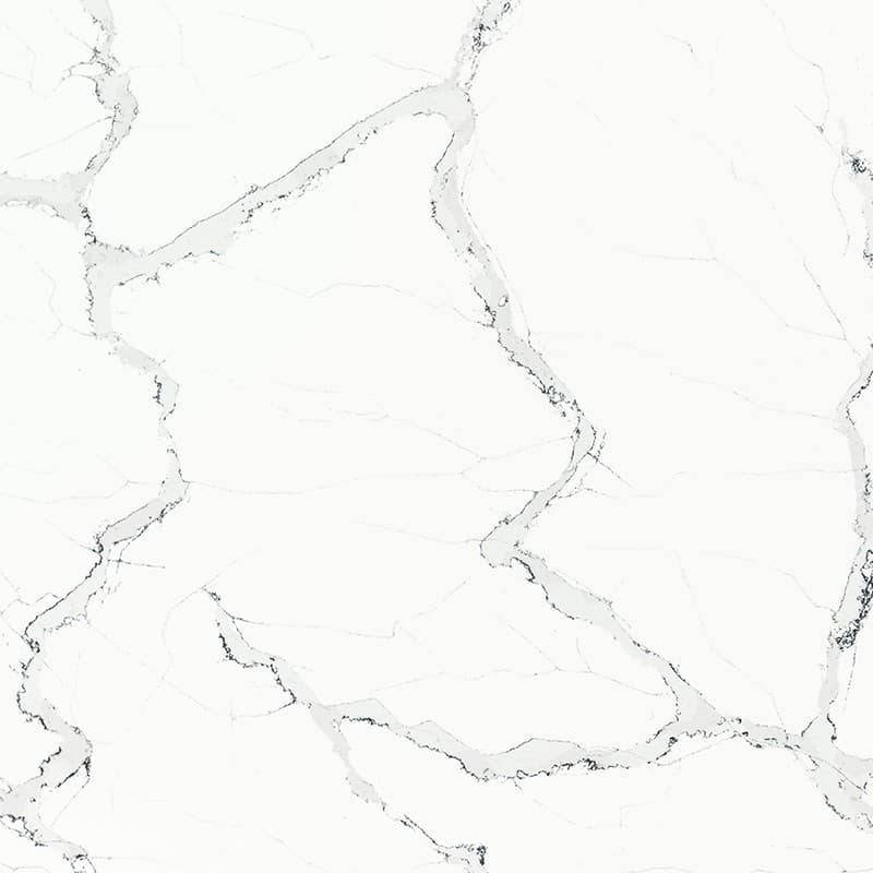 Echantillon d'image du coloris : Unique Statuário