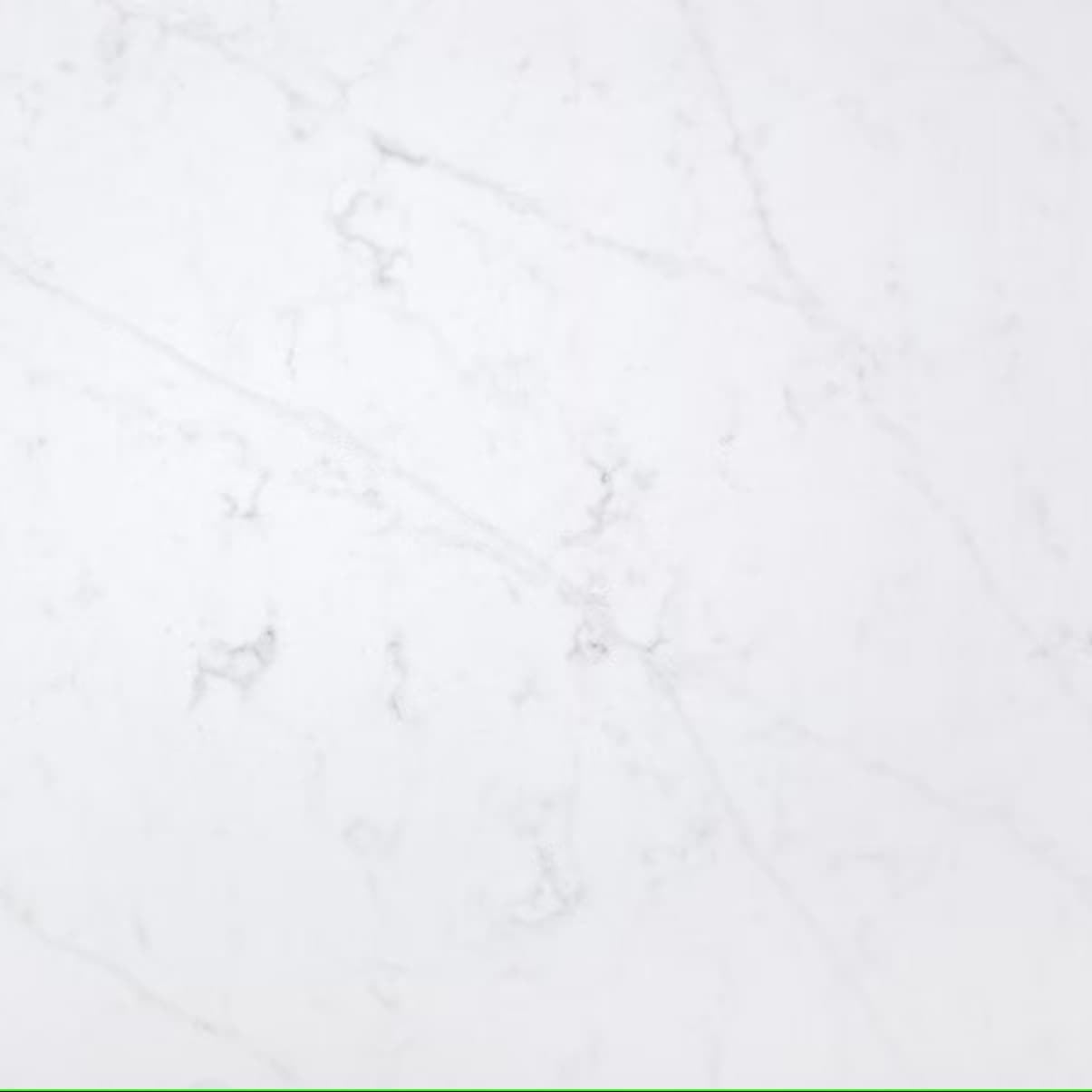 Echantillon d'image du coloris : Eternal Statuario