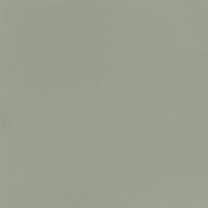 Echantillon d'image du coloris : Posidonia Green