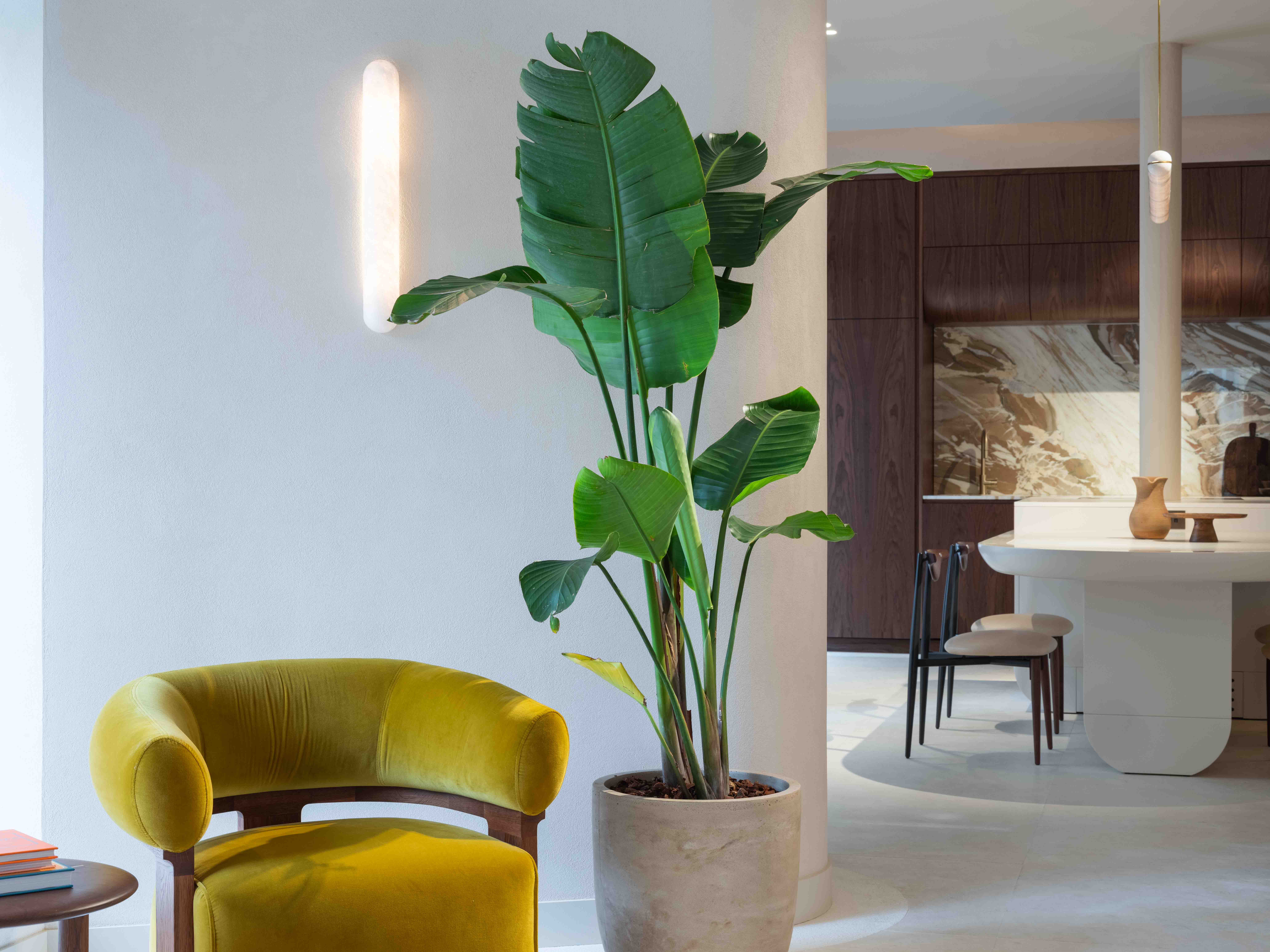 Showroom Nice