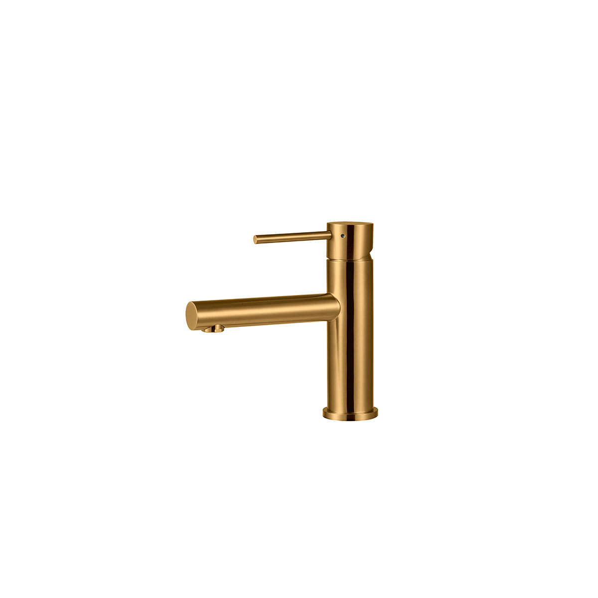 Echantillon d'image de l'accessoire : Salso S Gold