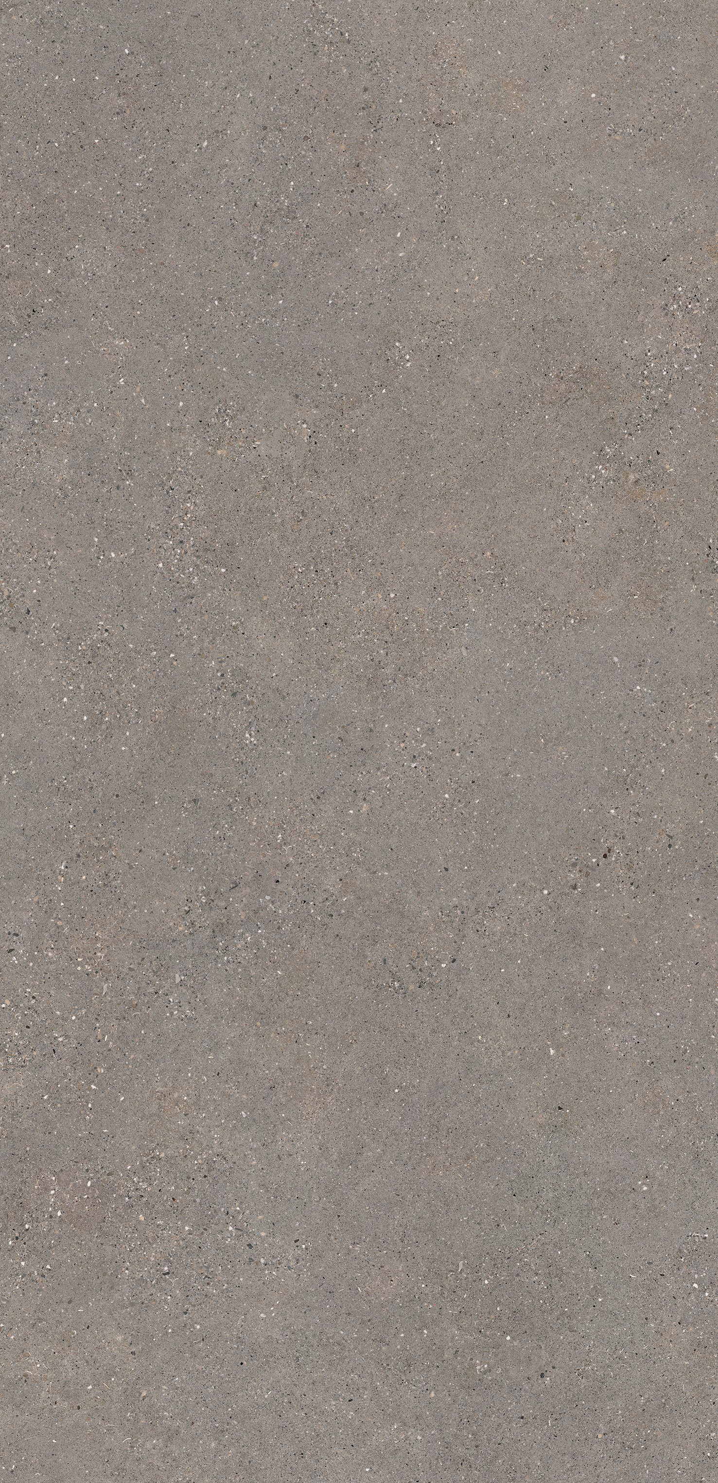 Épaisseur et finition de tranche du coloris Wulong en Ceramique Neolith The Size