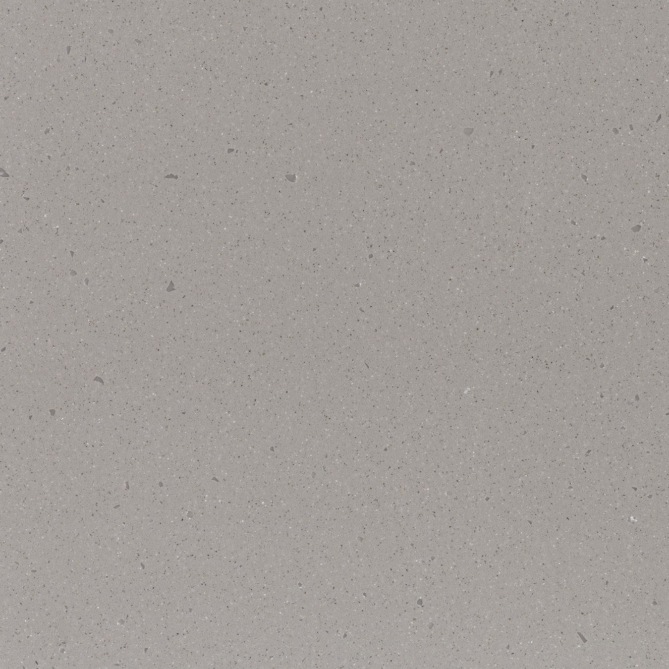 Echantillon d'image du coloris : Dove