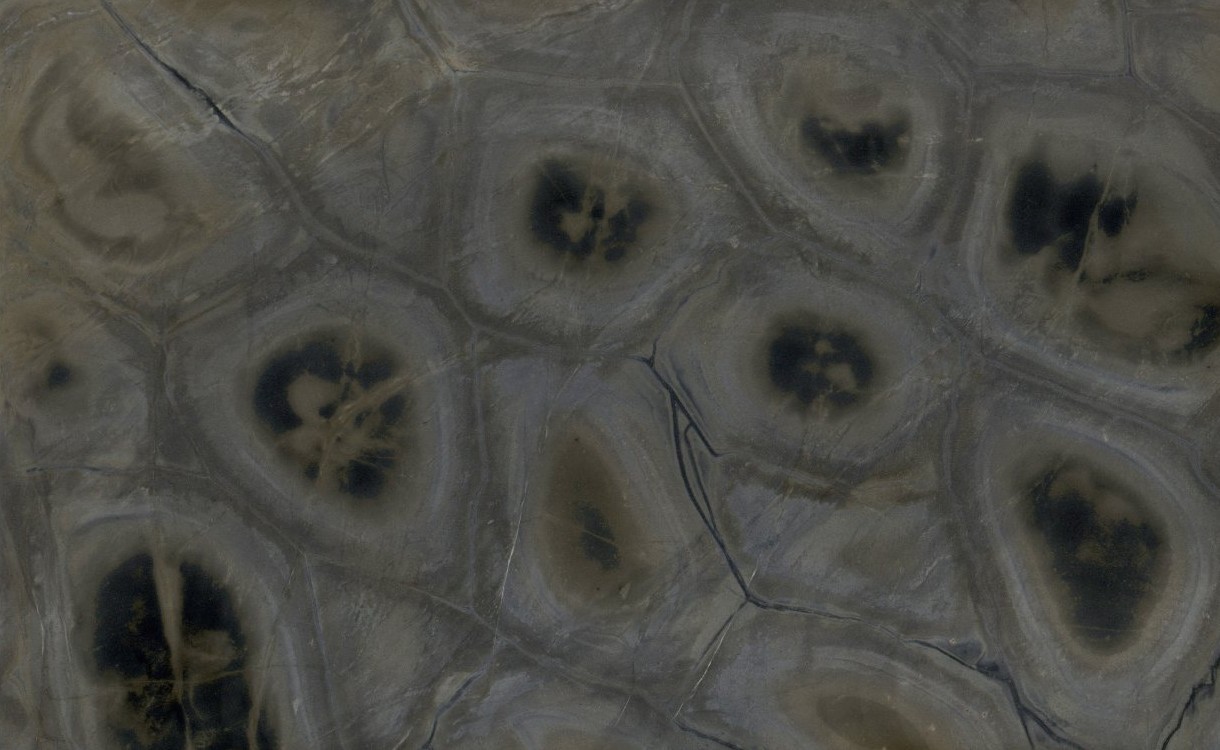 Épaisseur et finition de tranche du coloris Turtle en Quartzite