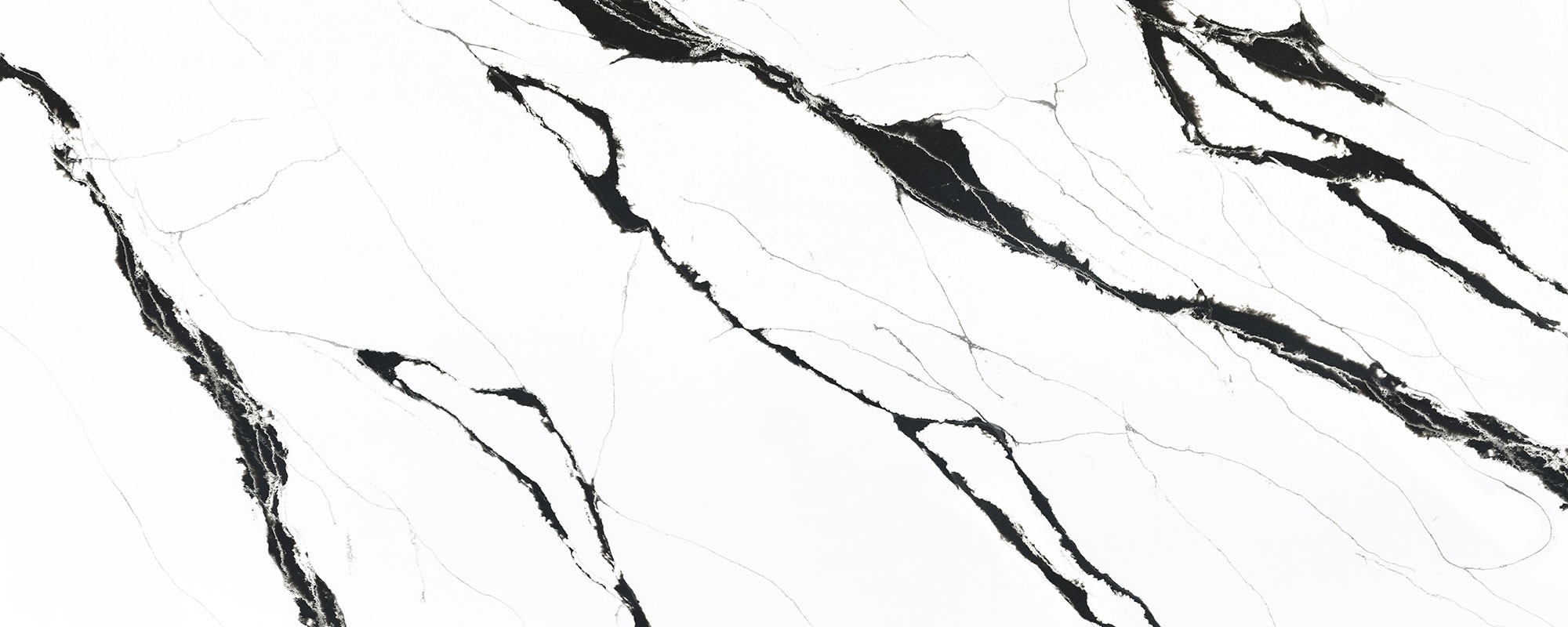 Épaisseur et finition de tranche du coloris Unique Calacatta Black