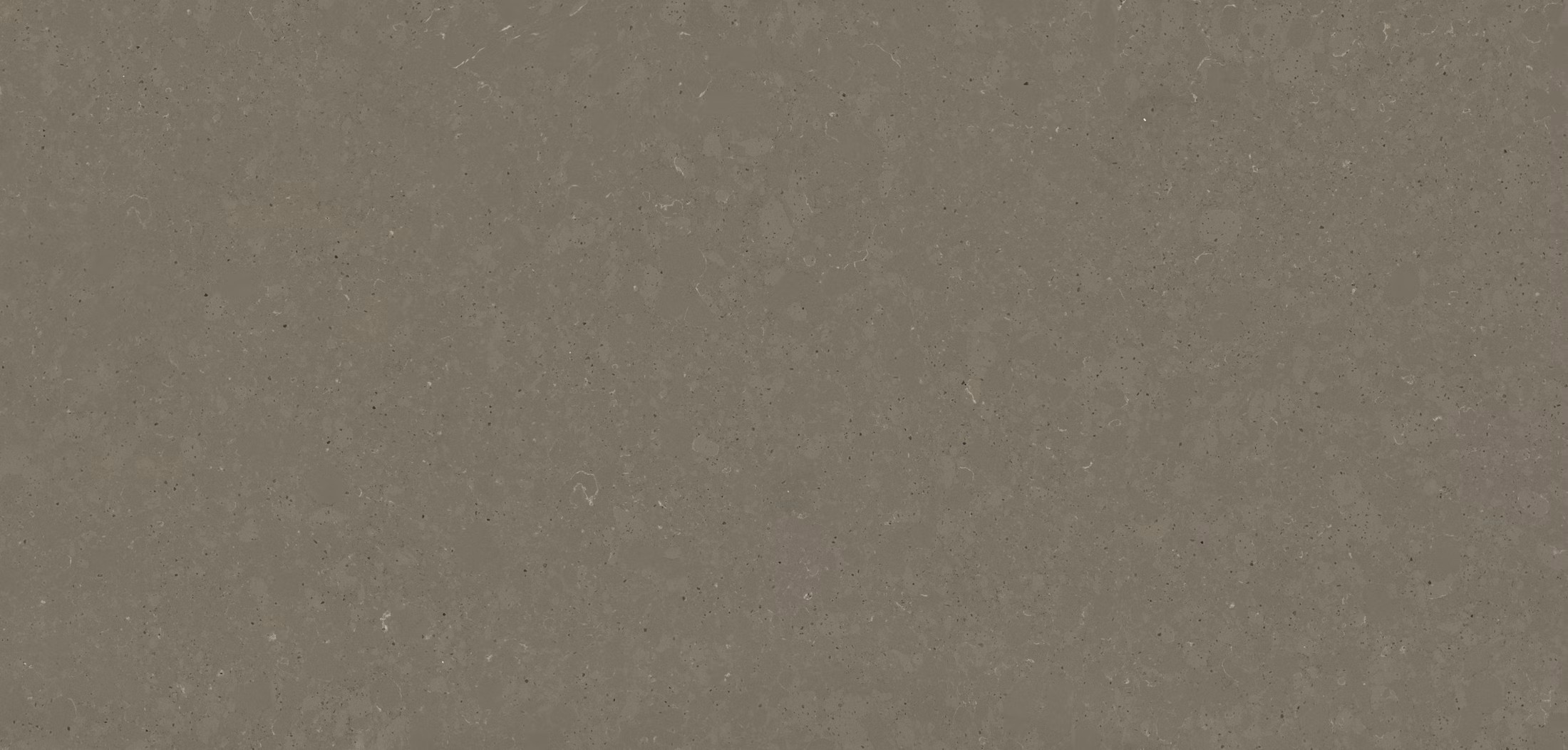 Épaisseur et finition de tranche du coloris Brass Relish en Quartz Silestone