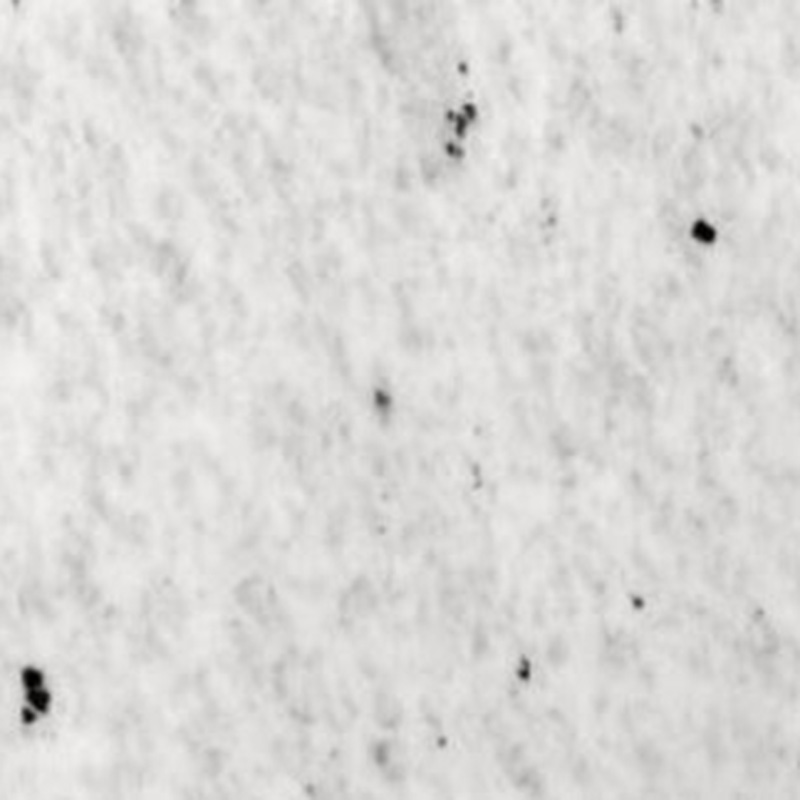 Granit REBEL WHITE