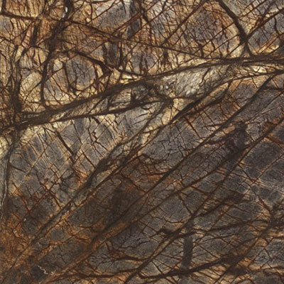 Marbre RAIN FOREST BROWN