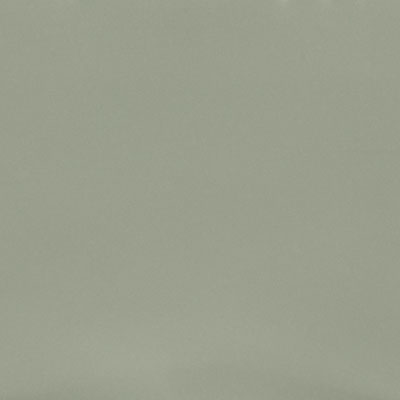 Quartz Silestone POSIDONIA GREEN